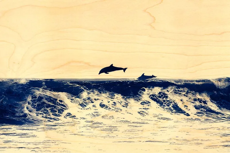 hironwoods-dauphins-vague-carte-postale-bois-100x150mm-mer image 1