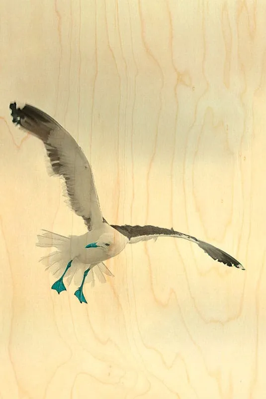 hironwoods-mouettes-carte-postale-bois-100x150mm-mer image 1