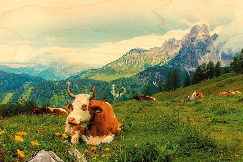 hironwoods-magnet-bois-vache-montb-liarde-fleurs image 1