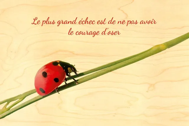 hironwoods-carte-bois-citation-cocci-carte-postale-100x150mm image 1