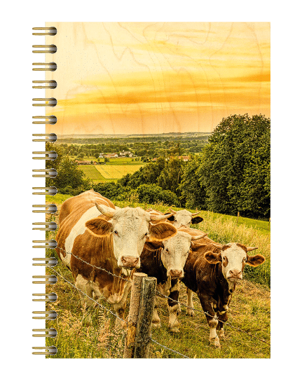 hironwoods-vaches-soleil-couchant-carnet-bois-146x94mm-paysage image 1