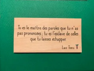 hylarion-cartes-tu-es-le-ma-tre-carte-bois-10x5-cm image 1