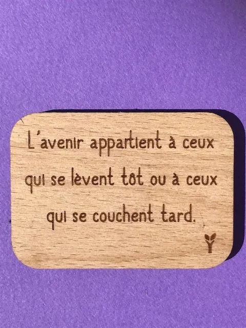 hylarion-magnets-magnet-bois-7x4-7-cm-avenir-l-ve-t-t image 1
