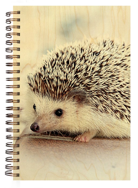 hironwoods-h-risson-carnet-couverture-bois-146x94mm image 1