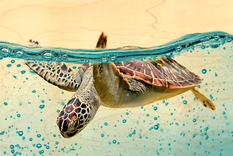 hironwoods-tortue-vague-carte-postale-bois-animaux-marins-100x150mm image 1