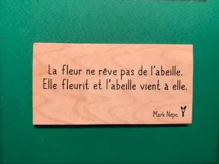 hylarion-cartes-la-fleur-ne-r-ve-pas-carte-bois-10x5-cm image 1