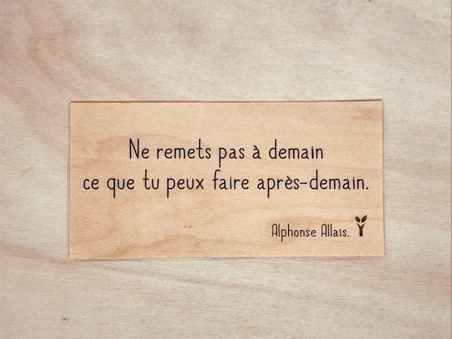 hylarion-cartes-apr-s-demain-carte-humour-bois image 1