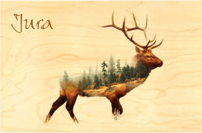 hironwoods-carte-postale-bois-jura-cerf-for-t-100x150 image 1