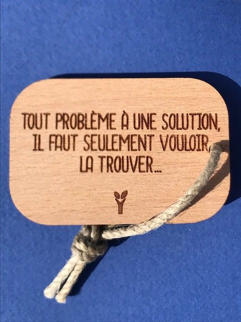 hylarion-porte-cl-s-solution-porte-cl-bois-6x4-cm image 1