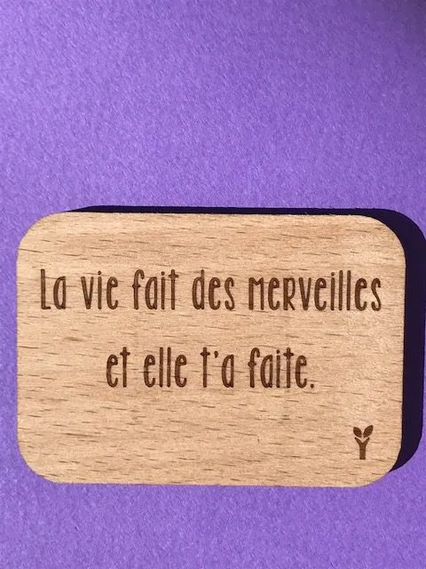 hylarion-magnets-magnet-bois-7x4-7-cm-la-vie-fait-des-merveilles image 1