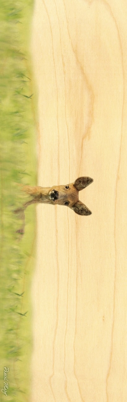 hironwoods-marque-pages-chevreuil-marque-page-bois-animaux image 1