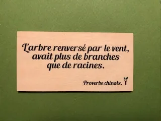 hylarion-cartes-arbre-renvers-carte-en-bois-citation image 1