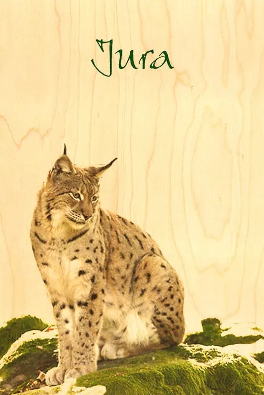 hironwoods-cartes-postales-bois-carte-lynx-animaux-100x150mm image 1