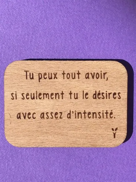 hylarion-magnets-tu-peux-tout-avoir-magnet-bois-7x4-7-cm image 1