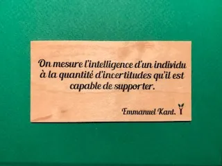 hylarion-cartes-intelligence-carte-bois-10x5-cm-bois-massif image 1