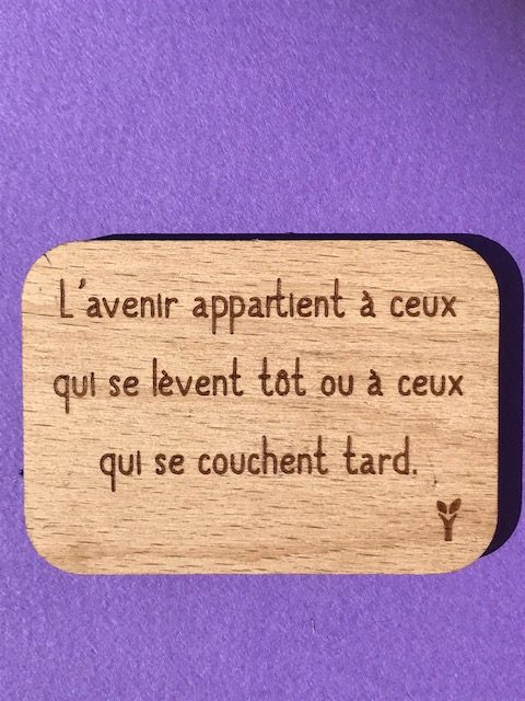hylarion-magnets-magnet-bois-7x4-7-cm-avenir-l-ve-t-t image 1