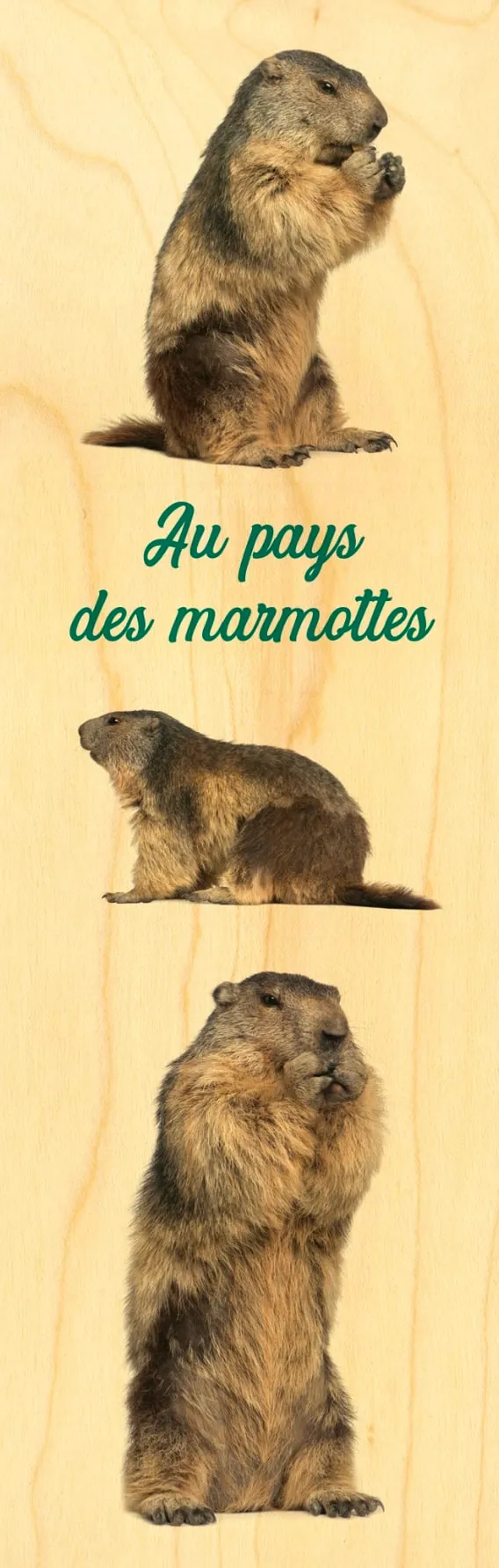 hironwoods-marque-pages-pays-des-marmottes-marque-page-bois image 1