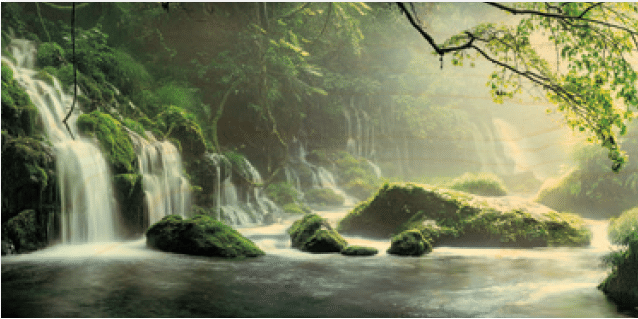 hironwoods-carte-bois-panoramique-cascade-for-t-100x200mm image 1