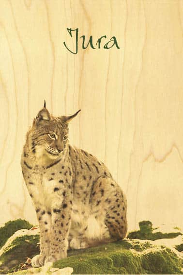 hironwoods-cartes-postales-en-bois-lynx-jura-100x150mm image 1