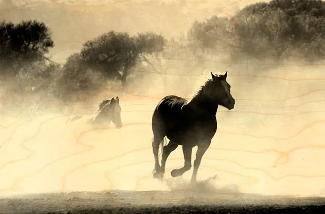 hironwoods-carte-postale-bois-chevaux-brume-100x150mm image 1
