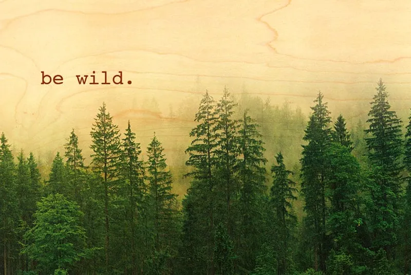 hironwoods-carte-postale-bois-be-wild-nature-for-t-100x150mm image 1