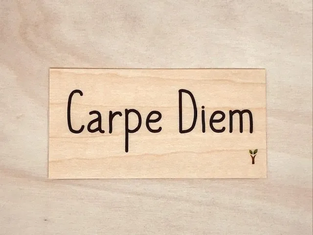 hylarion-cartes-carpe-diem-carte-bois-10x5-cm-bois-massif image 1