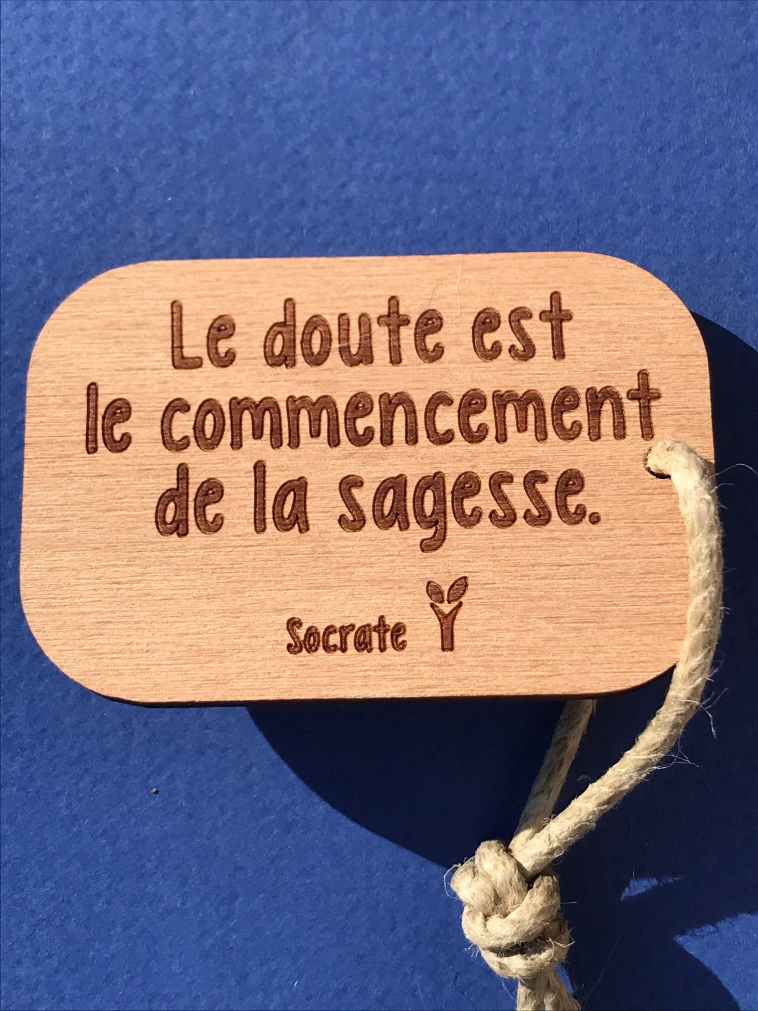 hylarion-porte-cl-s-doute-commencement-sagesse-porte-cl-bois-6x4 image 1