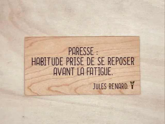 hylarion-cartes-paresse-carte-humour-bois image 1
