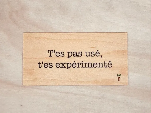 hylarion-cartes-t-es-pas-us-t-es-exp-riment-carte-bois-10-5 image 1